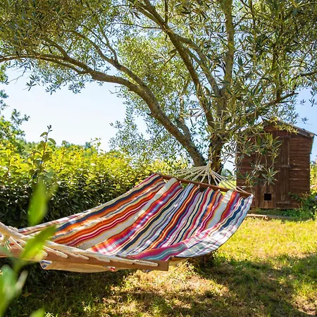 Domaine Les Hauts De Jeanvert - Piscine - * Gaillac