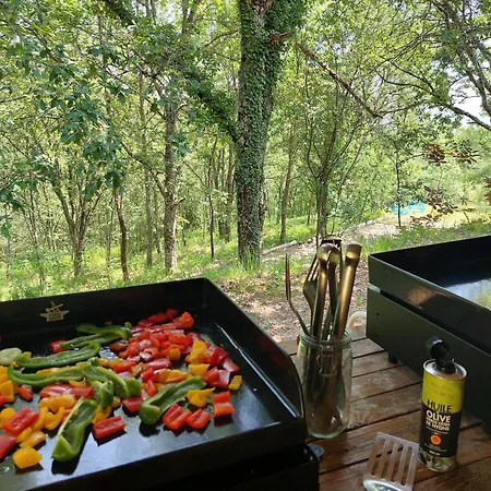 Casa de Férias Domaine Les Hauts De Jeanvert - Piscine - Gaillac