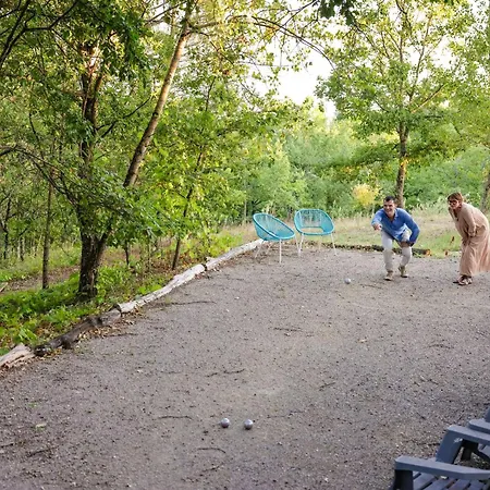 Domaine Les Hauts De Jeanvert - Piscine - Gaillac