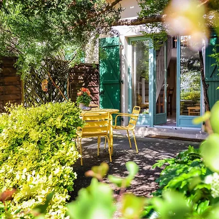 Domaine Les Hauts De Jeanvert - Piscine - * Gaillac