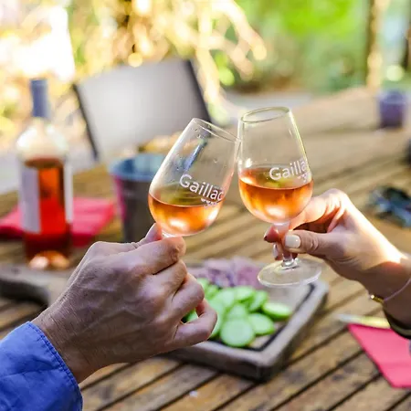 Holiday home Domaine Les Hauts De Jeanvert - Piscine - Gaillac