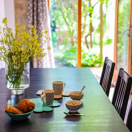 Domaine Les Hauts De Jeanvert - Piscine - * Gaillac