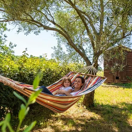 Domaine Les Hauts De Jeanvert - Piscine - Ferienhaus Gaillac